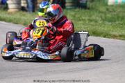 20110501_ales_agnus (2154)